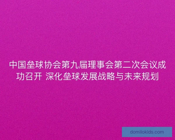中国垒球协会第九届理事会第二次会议成功召开 深化垒球发展战略与未来规划